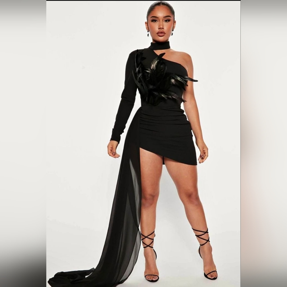 Fashion nova dress